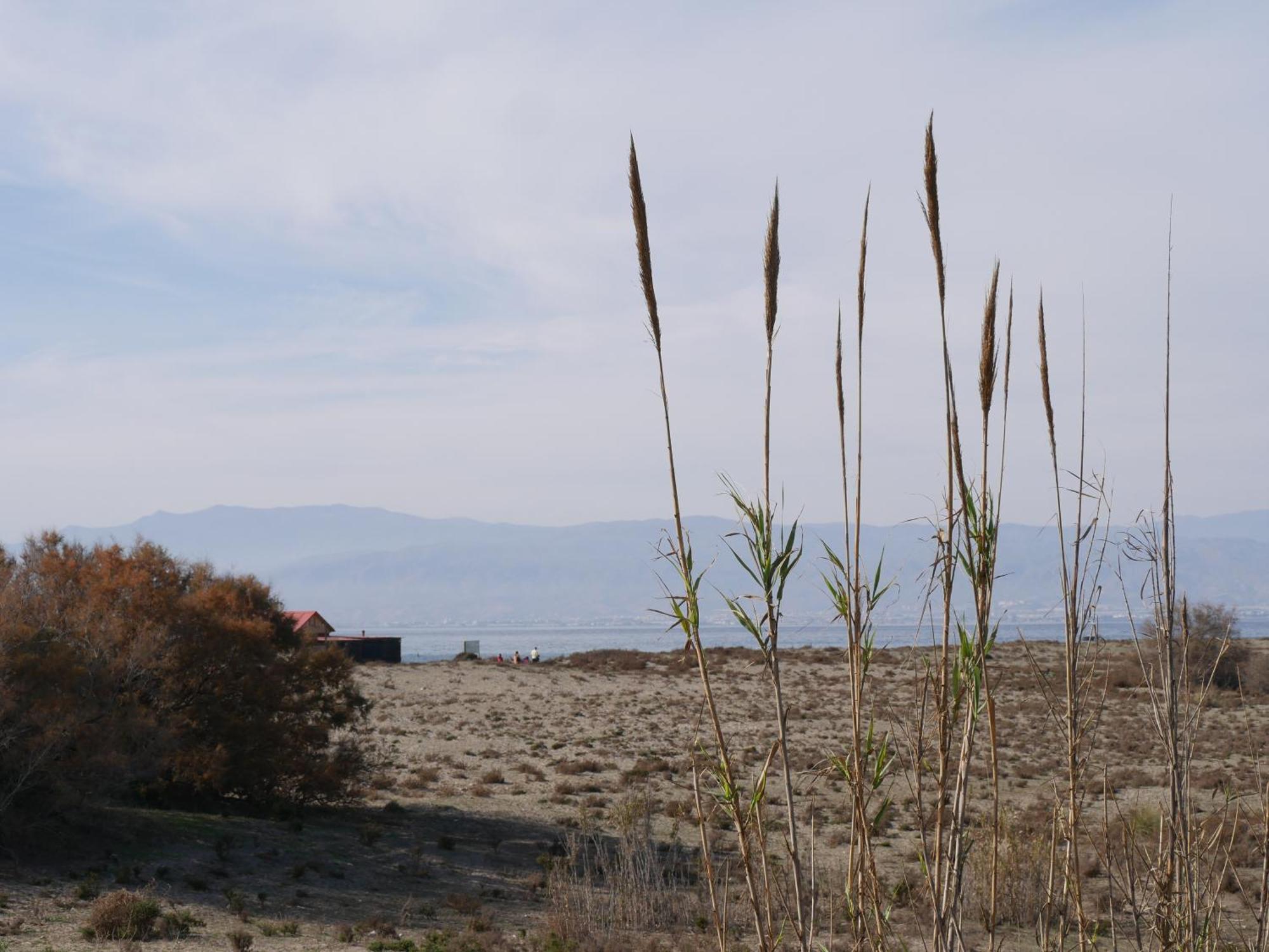 Precioso Apartamento En Cabo De Gata Εξωτερικό φωτογραφία