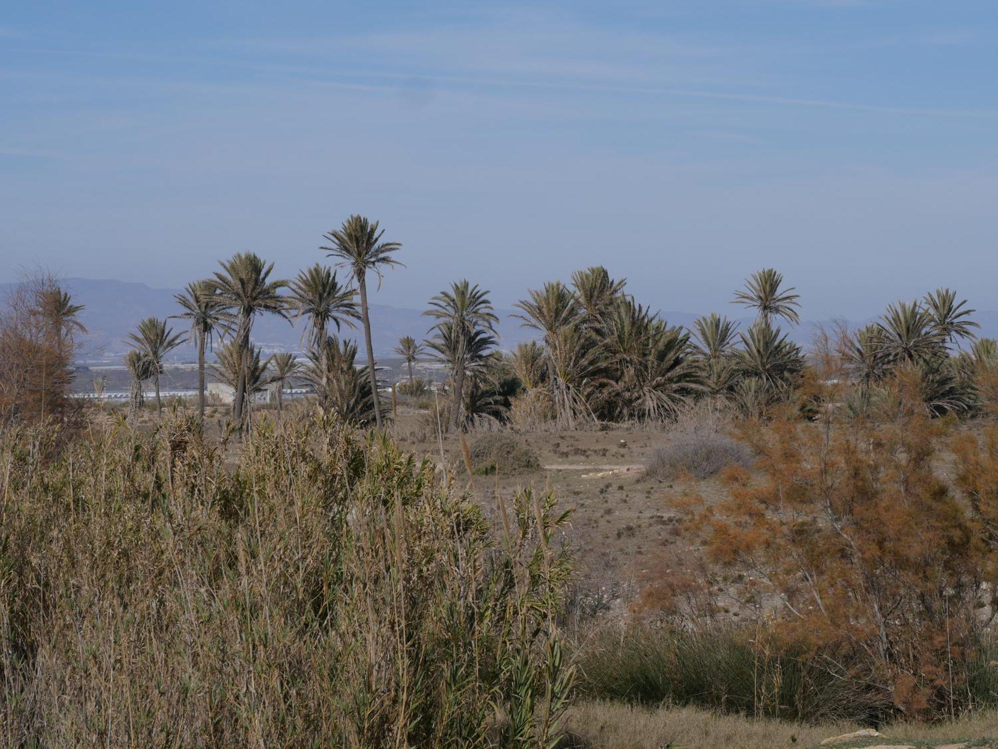 Precioso Apartamento En Cabo De Gata Εξωτερικό φωτογραφία